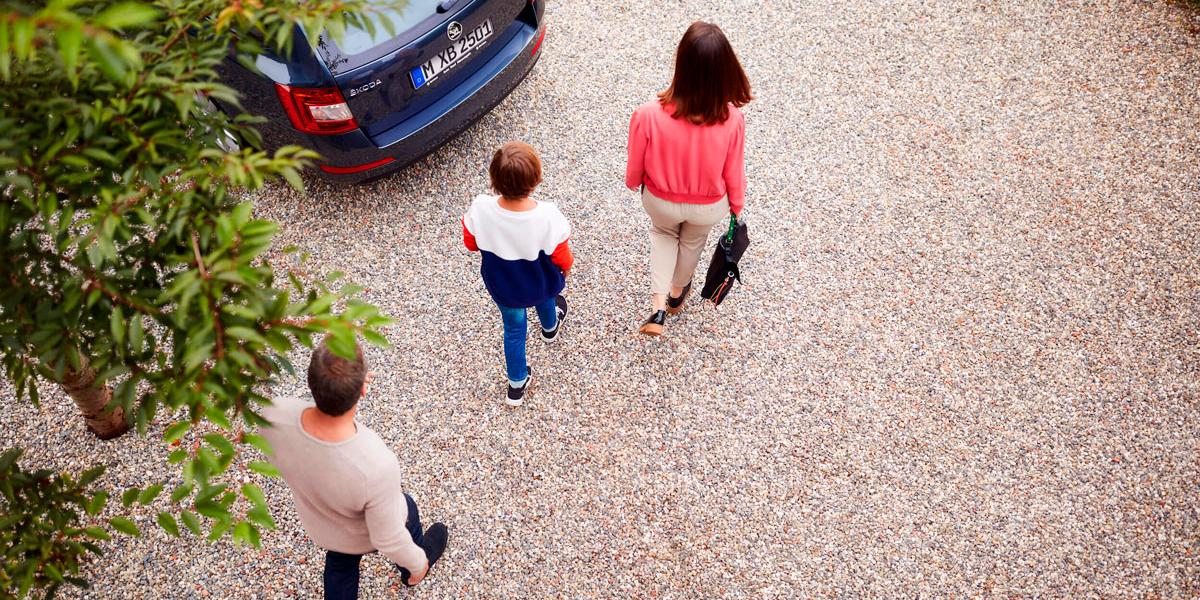 coche ocasión familia